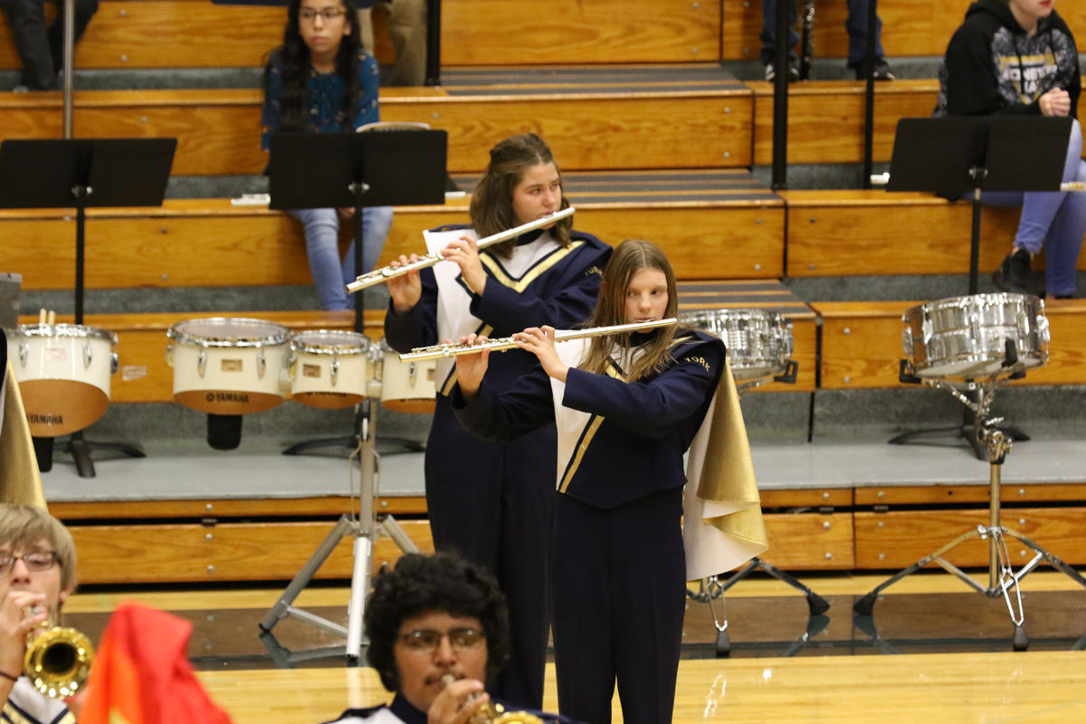 York Band Concert (71).JPG